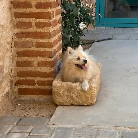 ヴィラ Manfarita - 3 Casitas Y Un Jardin Hechos Con Mucho Mimo! *